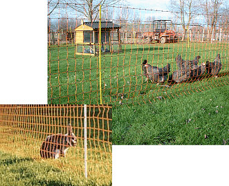 electric poultry net comes in orange or green