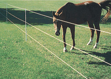Super Rope horse fence