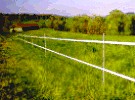 Horse tape horse fence on fiberglass posts