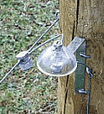 Lightning arrestor for electric fences