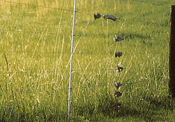 high tensile wire fence with 1 spring as tension meter