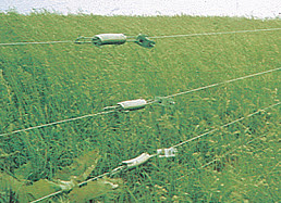 electric fence with springs & tighteners in each strand