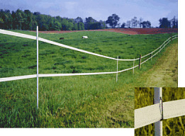 2 strand Horse Tape fence with tape clip inset