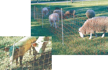 Fast Fence standard mesh electric nets for sheep, goats, pigs, poultry & wildlife control