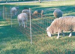 electrified sheep net fence