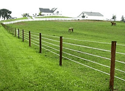 Supercote coated high tensile wire fence for horses